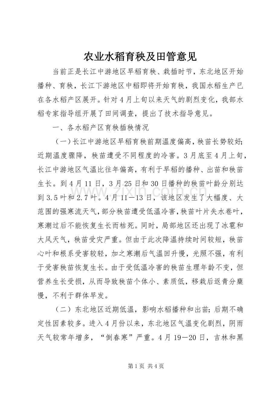 农业水稻育秧及田管意见.docx_第1页