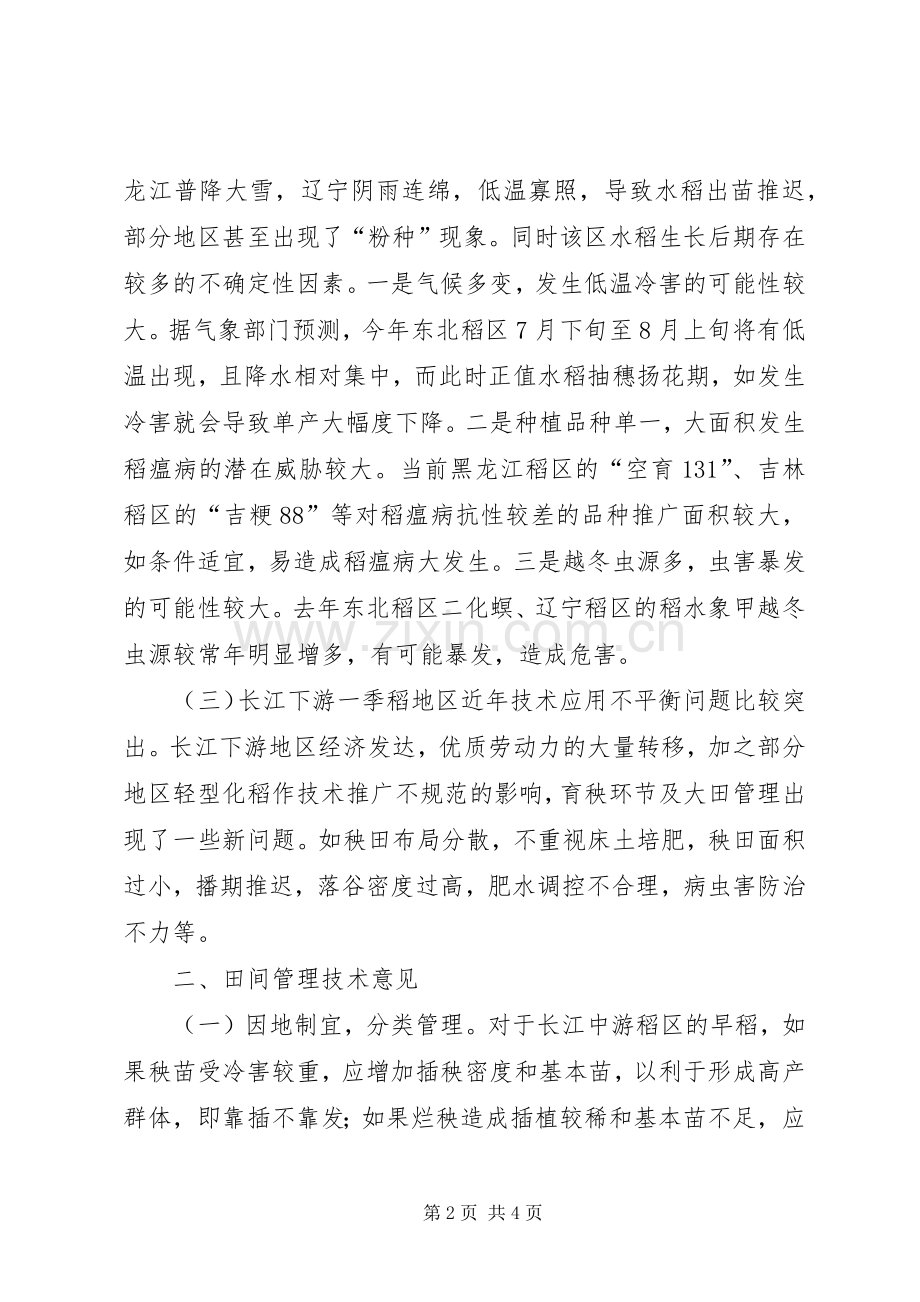 农业水稻育秧及田管意见.docx_第2页