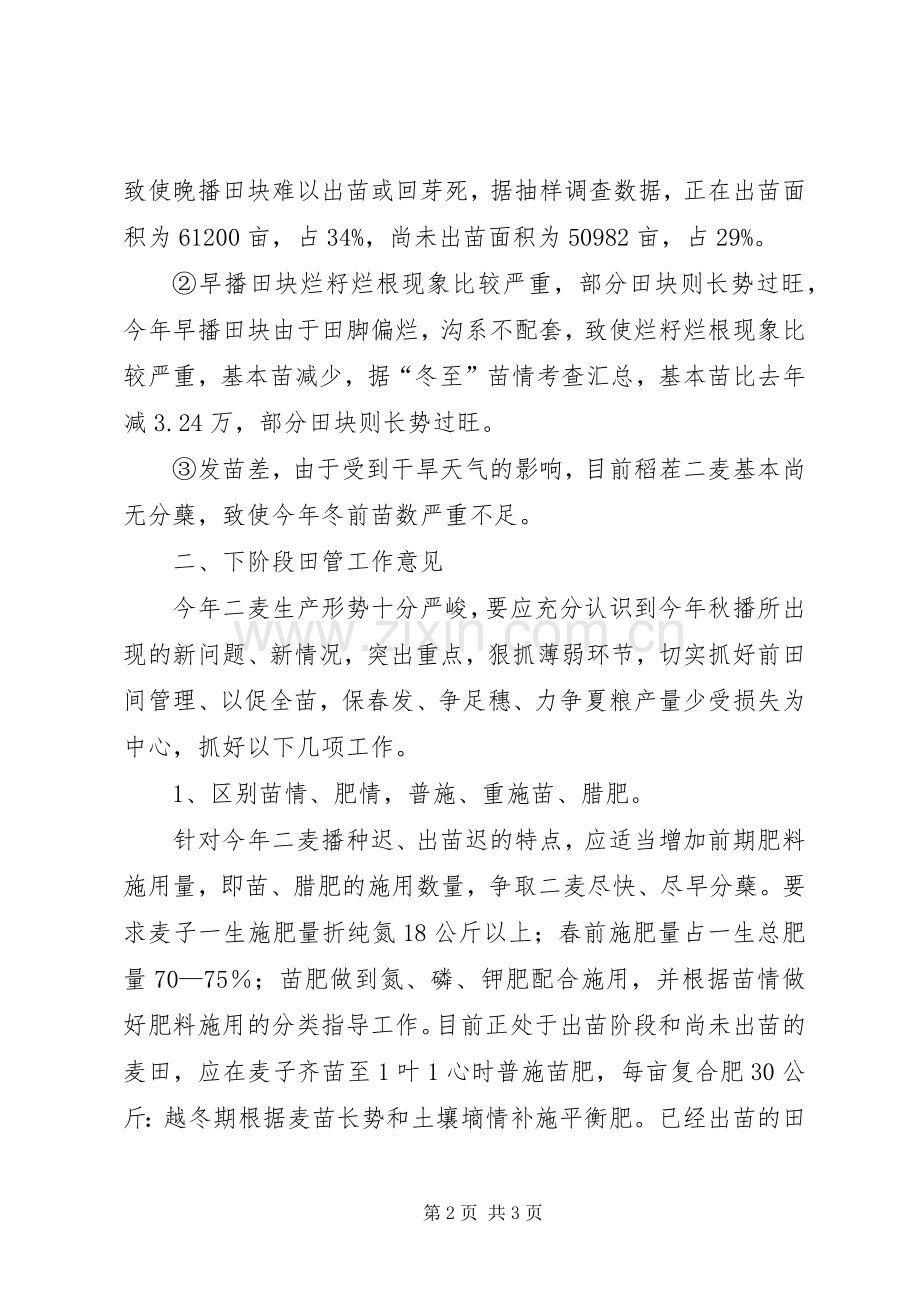 麦苗长势分析工作意见.docx_第2页