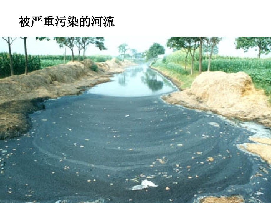 四年级节约用水班队会.ppt_第2页