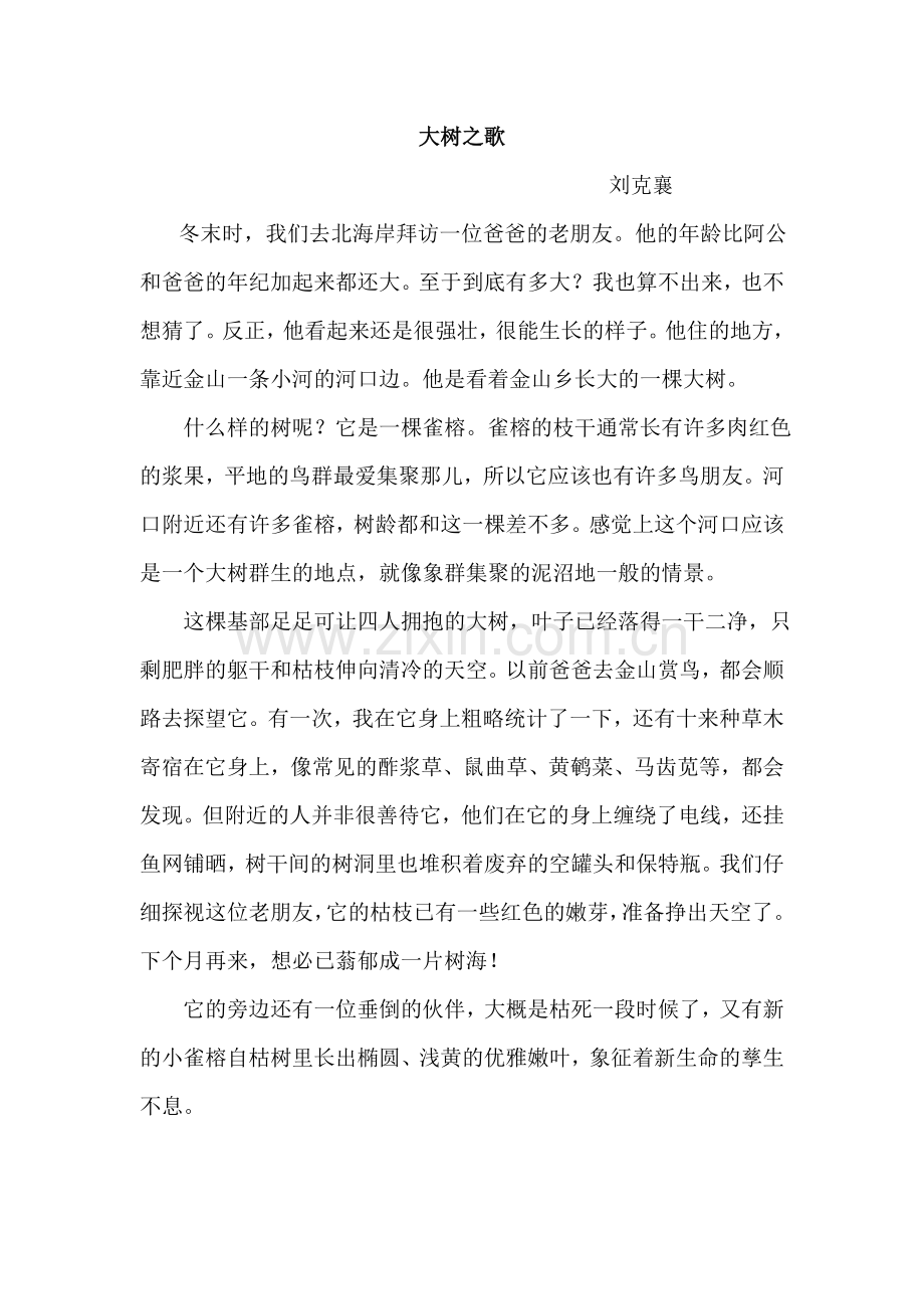 大树之歌.docx_第1页