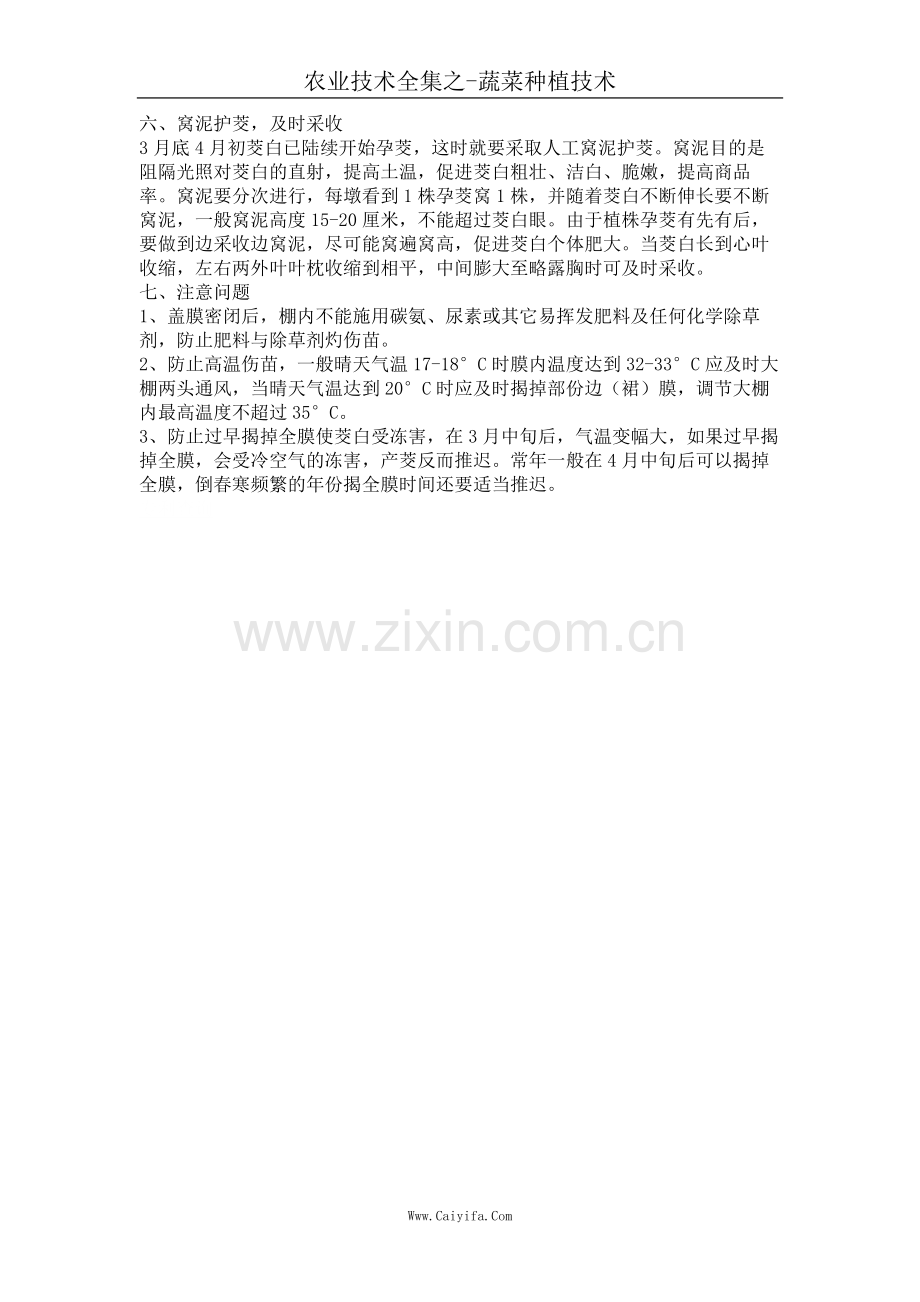 浙大茭白大棚促早栽培技术.doc_第2页