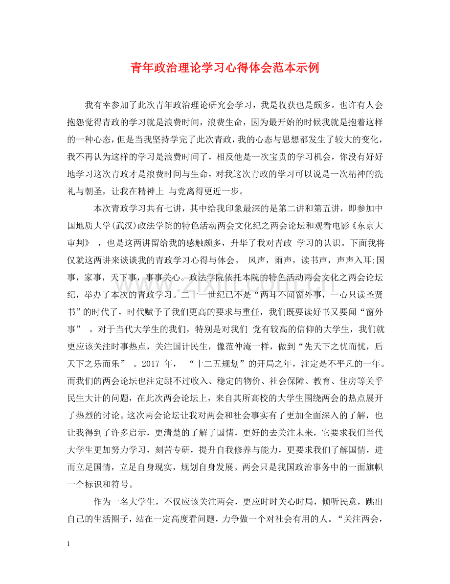 青年政治理论学习心得体会范本示例 .doc_第1页