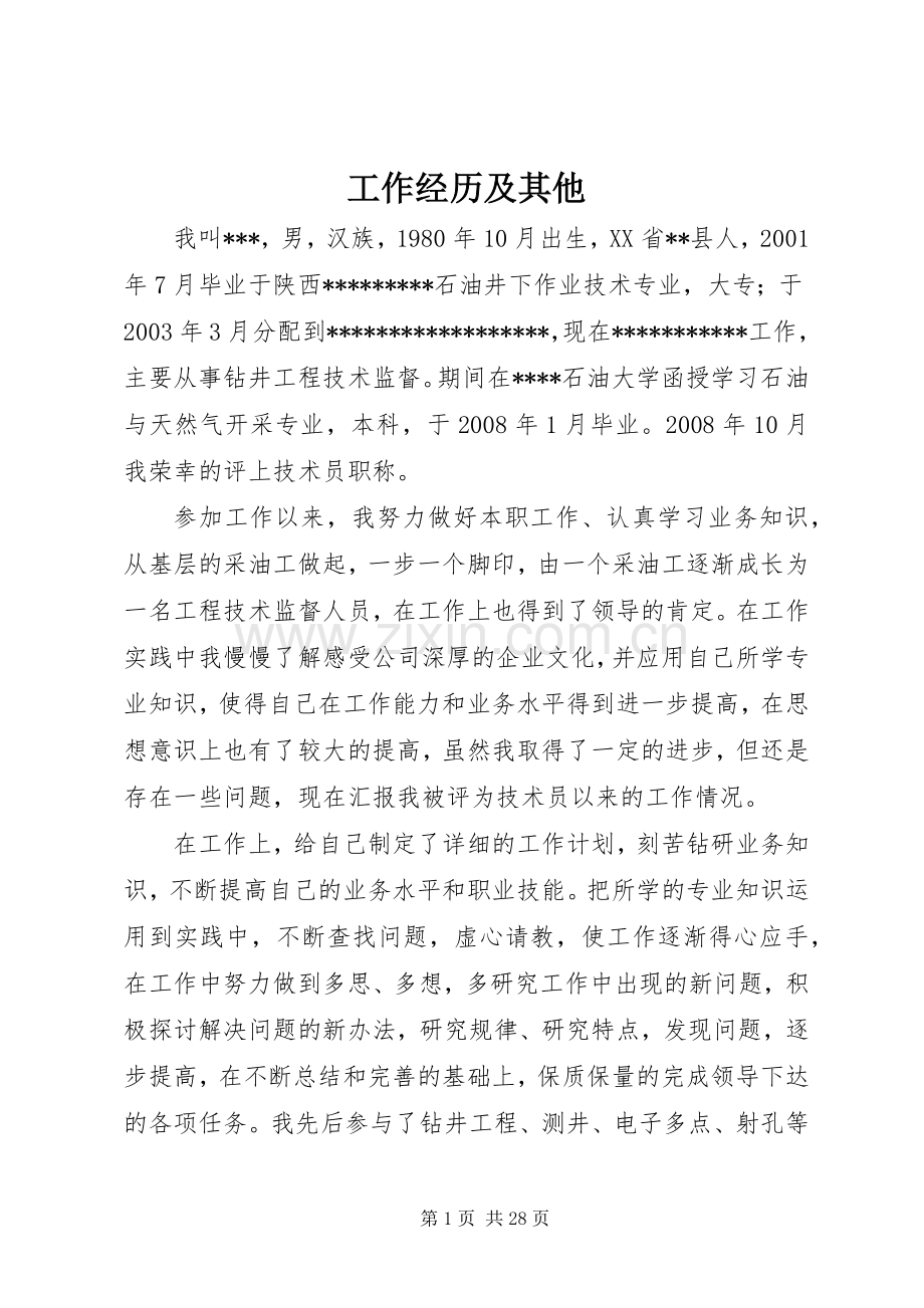 工作经历及其他.docx_第1页