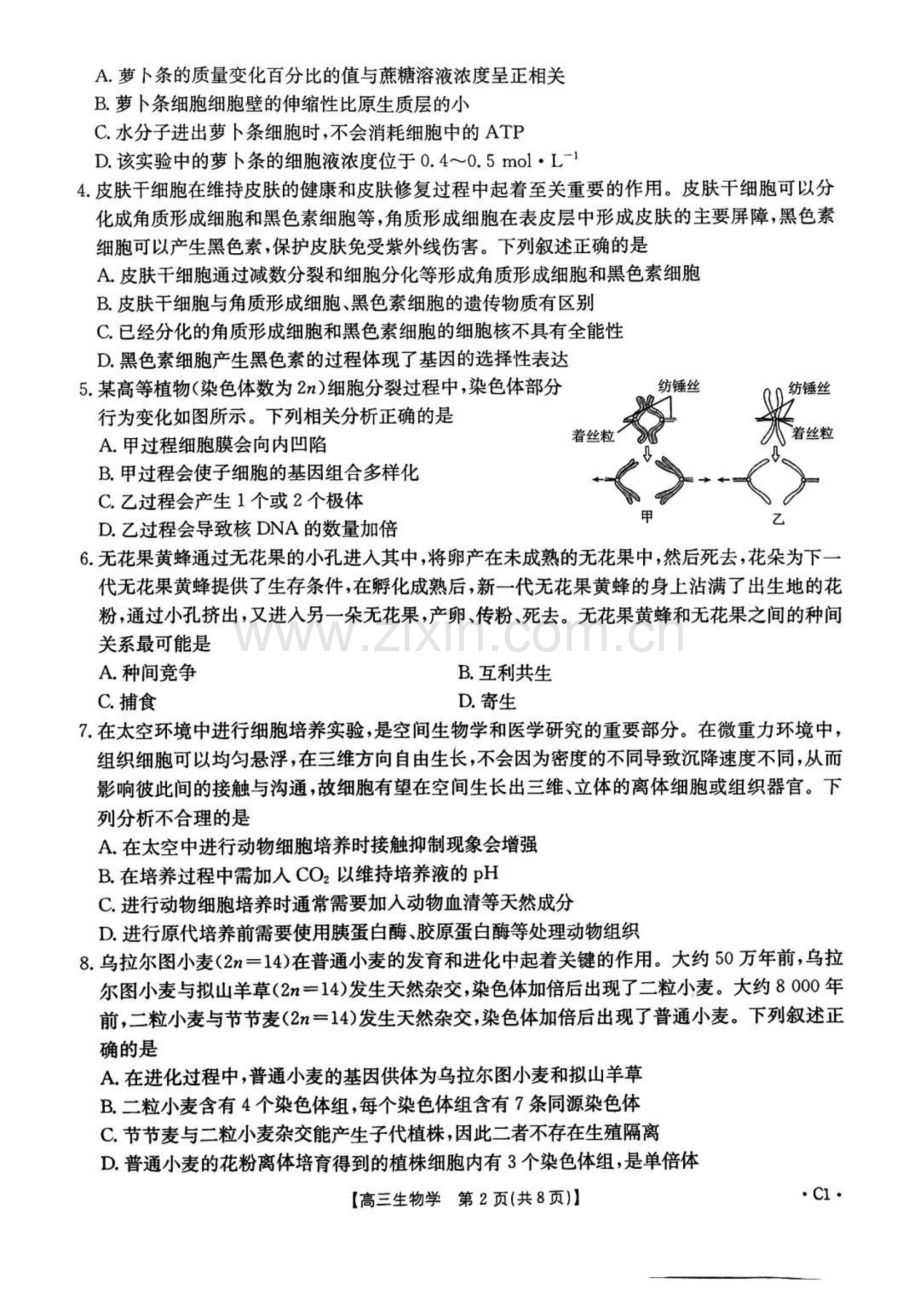 河北省邢台市金太阳2025届高三上学期12月联考生物试题（含答案）.docx_第2页
