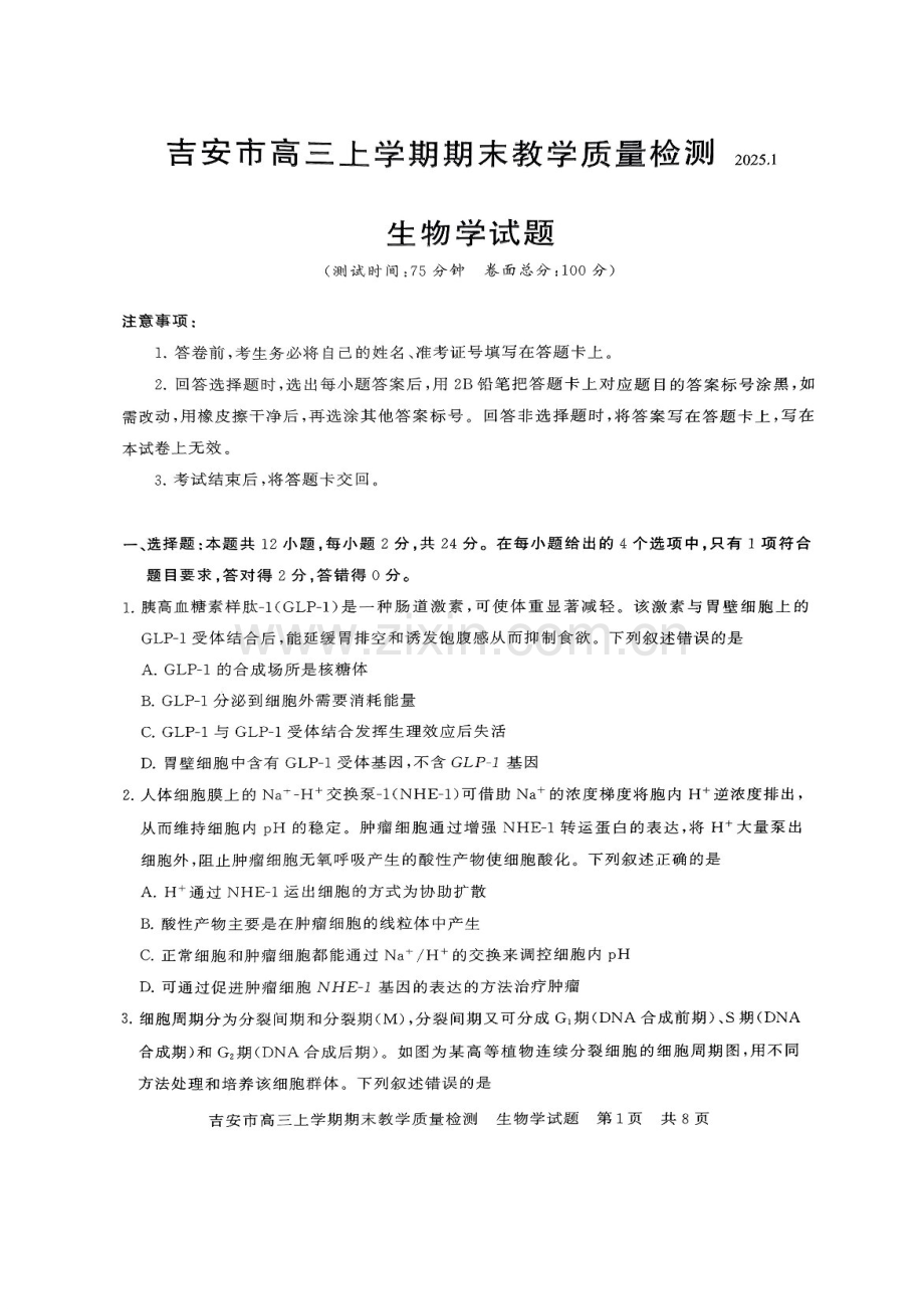 江西省吉安市2025届高三上学期1月期末教学质量检测-生物试卷（含答案）.docx_第1页