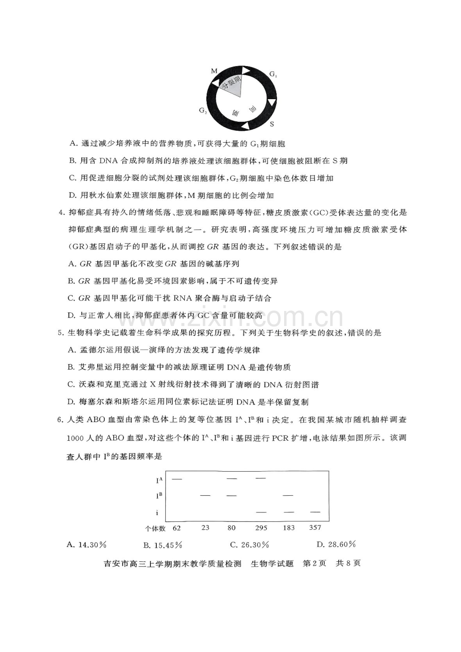 江西省吉安市2025届高三上学期1月期末教学质量检测-生物试卷（含答案）.docx_第2页