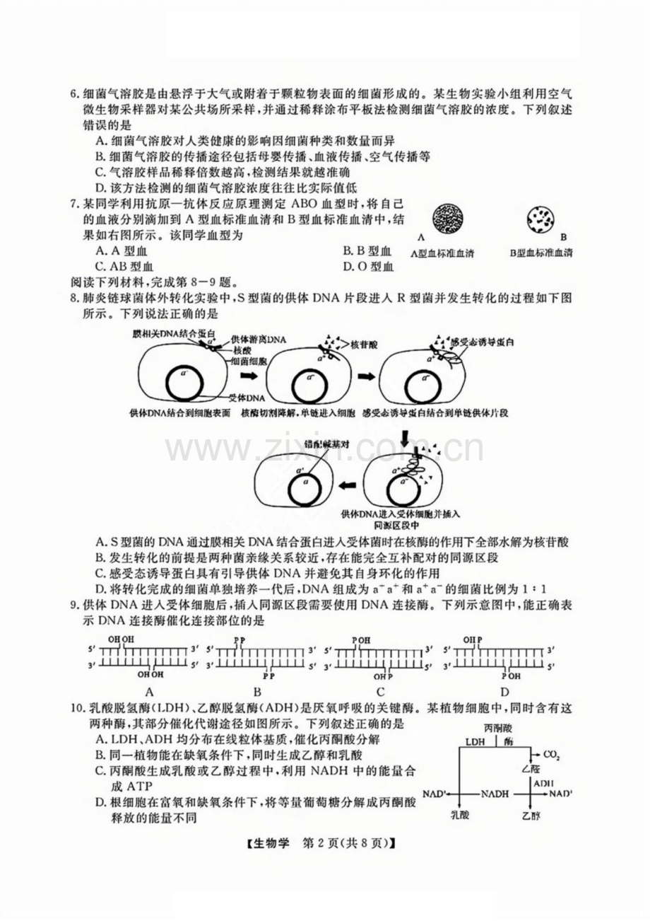 浙江省2025年1月浙江强基联盟高三上学期1月联考-生物试卷（含答案）.docx_第2页