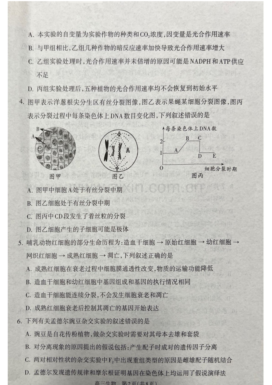 山西省吕梁市2025届高三上学期1月期末调研考试-生物试卷（含答案）.docx_第2页