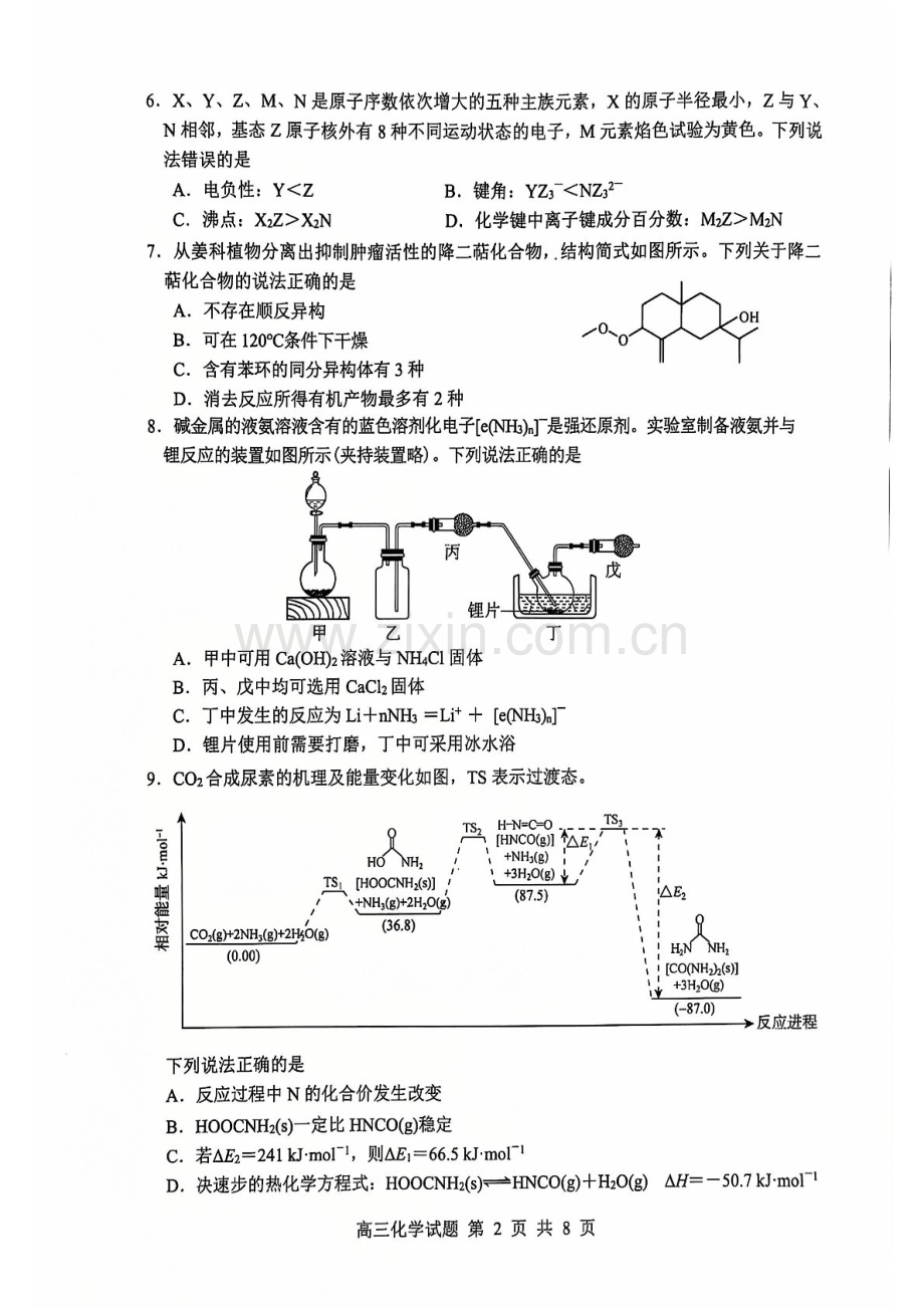 山东省淄博市2025届高三上学期期末摸底质量检测-化学试卷（含答案）.docx_第2页