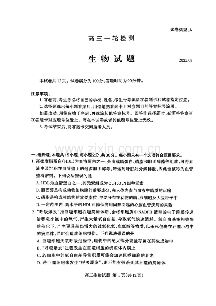 2025届山东省泰安市高三下学期第一次模拟-生物试题（学生版）.docx_第1页