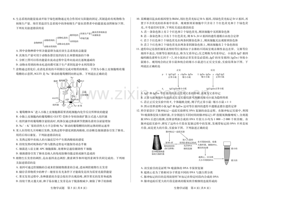 2025届安徽天一大联考高三下学期3月调研生物试题（含答案）.docx_第2页