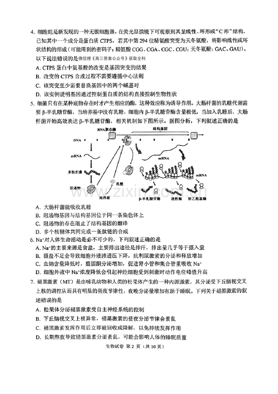 东北三省三校2025年高三下学期第一次联合模拟考试-生物试题（含答案）.docx_第2页