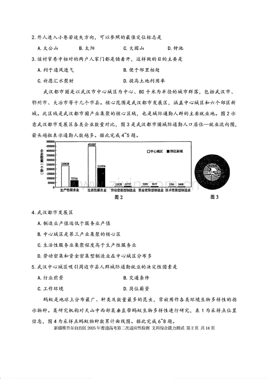 新疆维吾尔自治区2025年高三下学期第二次适应性检测-文综试题（含答案）.docx_第2页