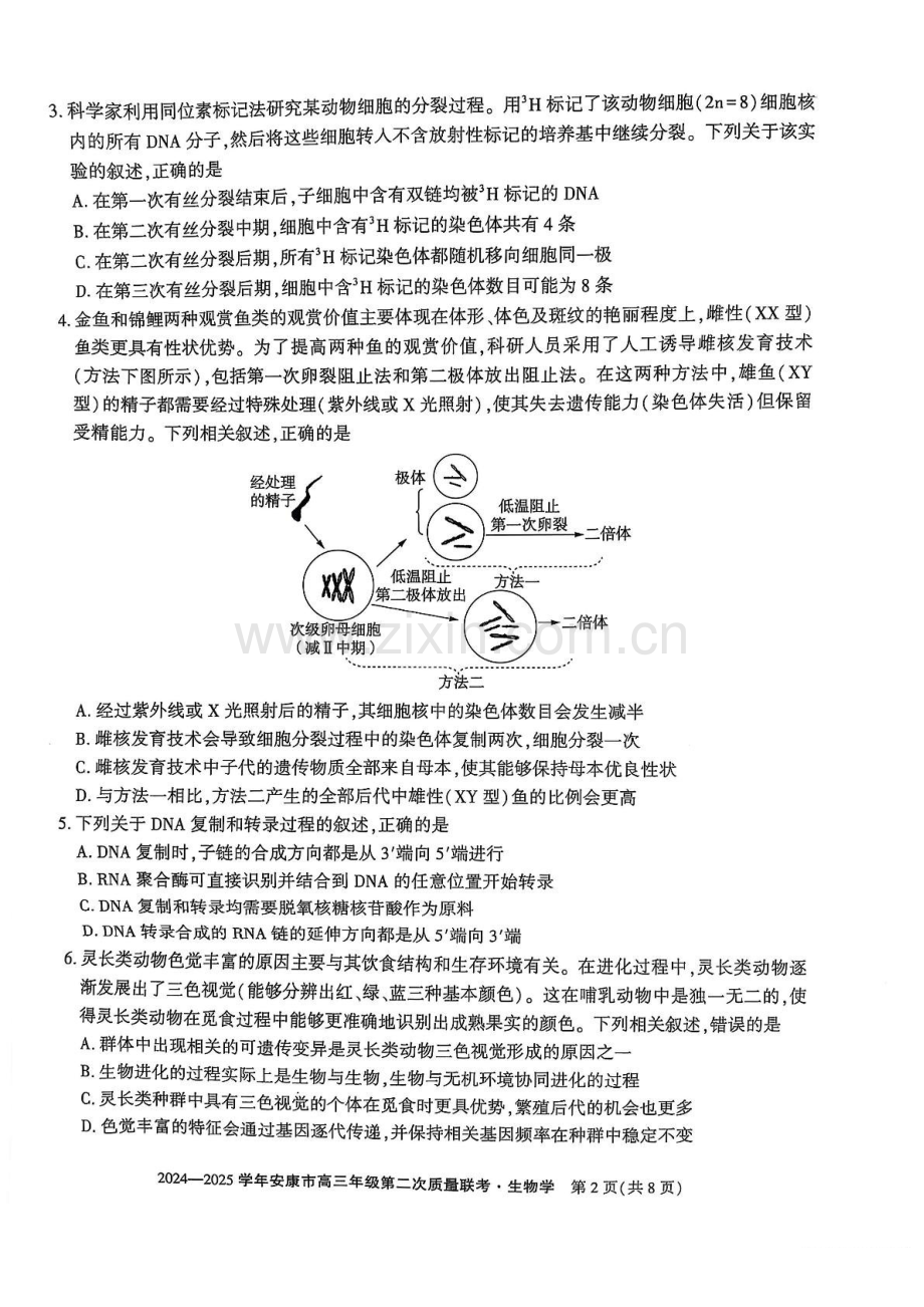 陕西省安康市2025届高三下学期第二次质量联考-生物试题（含答案）.docx_第2页
