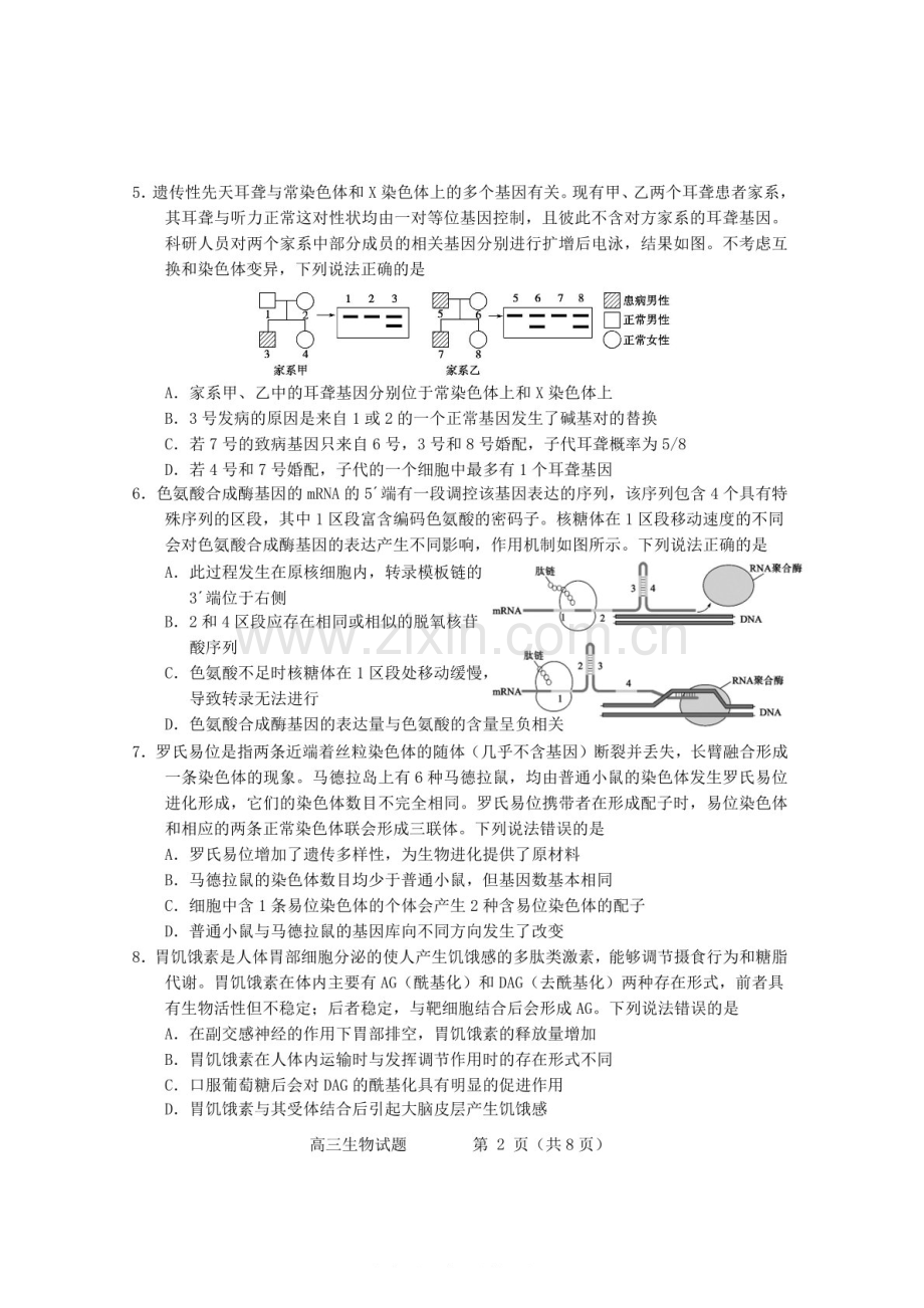 山东省烟台&德州市2025届高三下学期第一次模拟-生物试卷（含答案）.docx_第2页