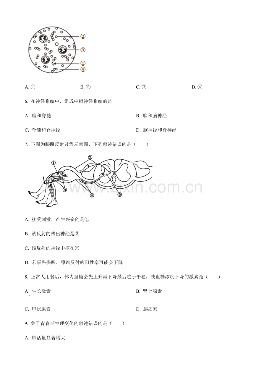 2024年上海市中考生物真题（含答案）.docx_第2页