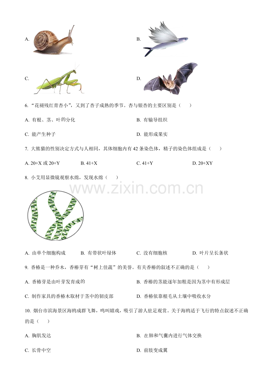 2024年山东省烟台市中考生物真题（含答案）.docx_第2页