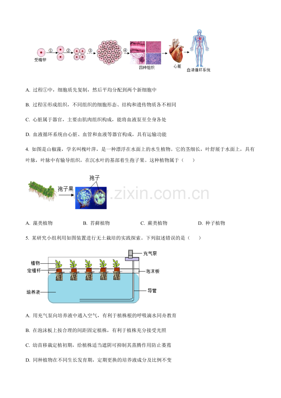 2024年山东省泰安市中考生物真题（含答案）.docx_第2页