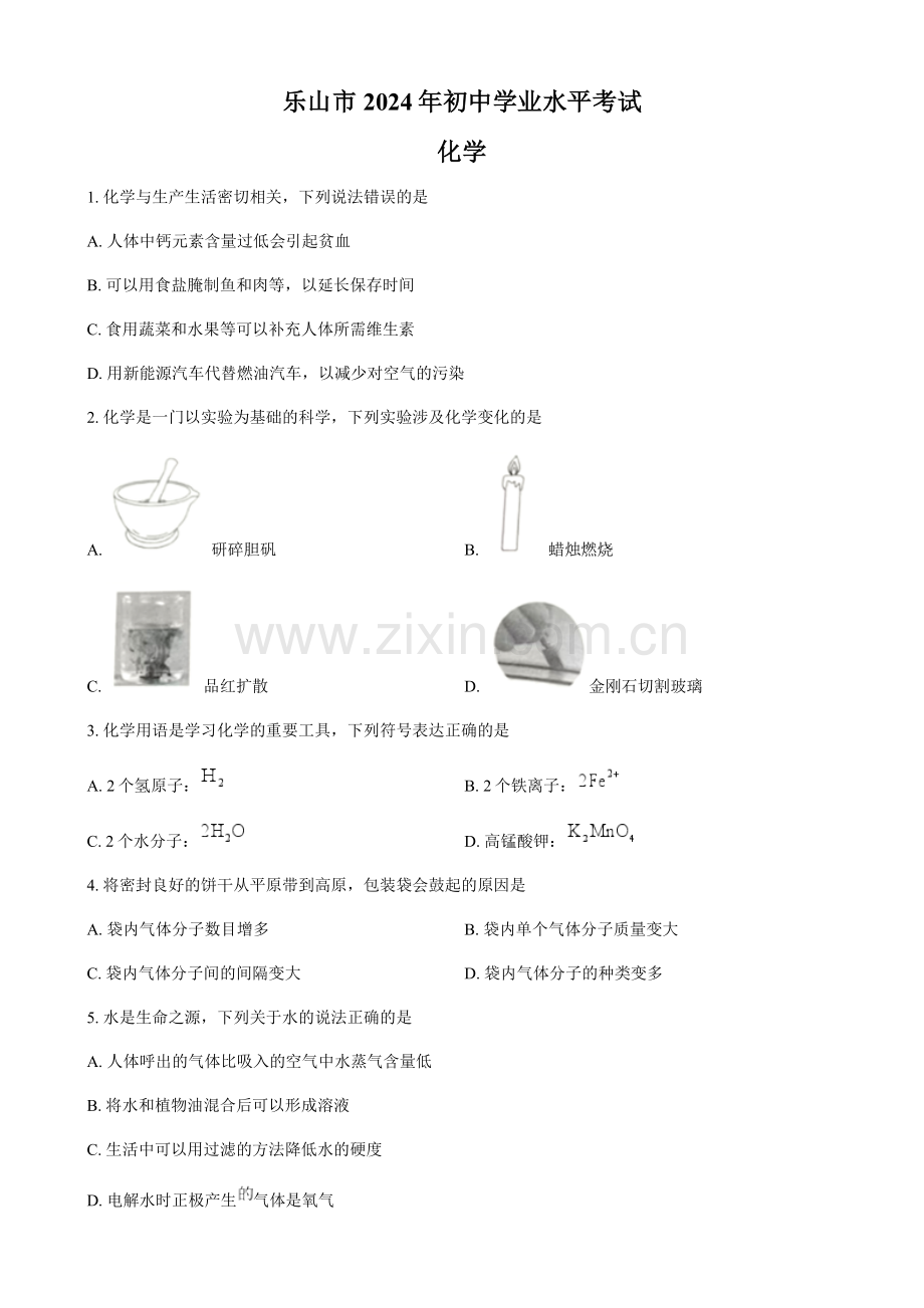 2024年四川省乐山市中考化学真题试卷（含答案）.docx_第1页