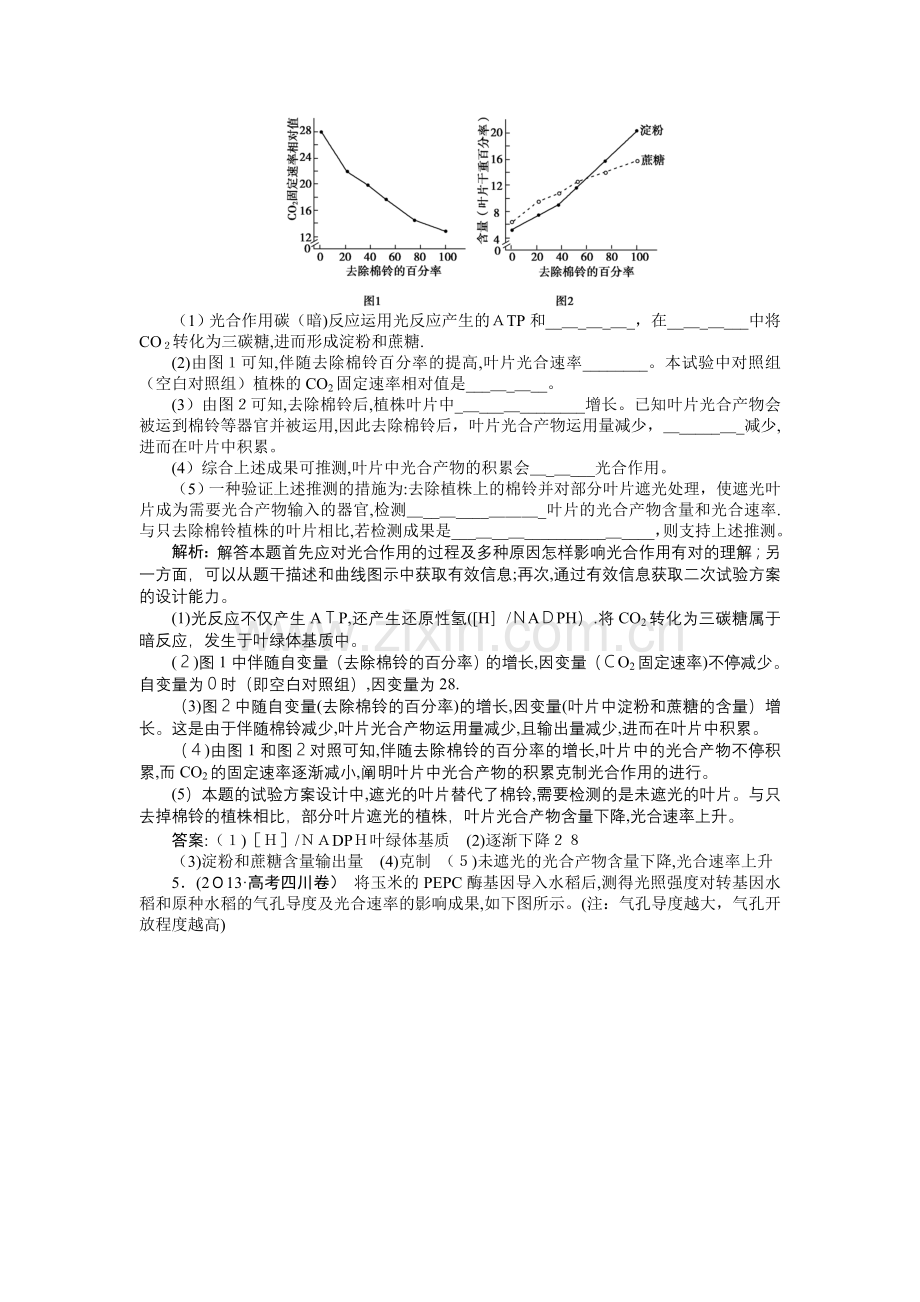 2025年高考真题汇编生物第二单元专题6光合作用范本.doc_第2页