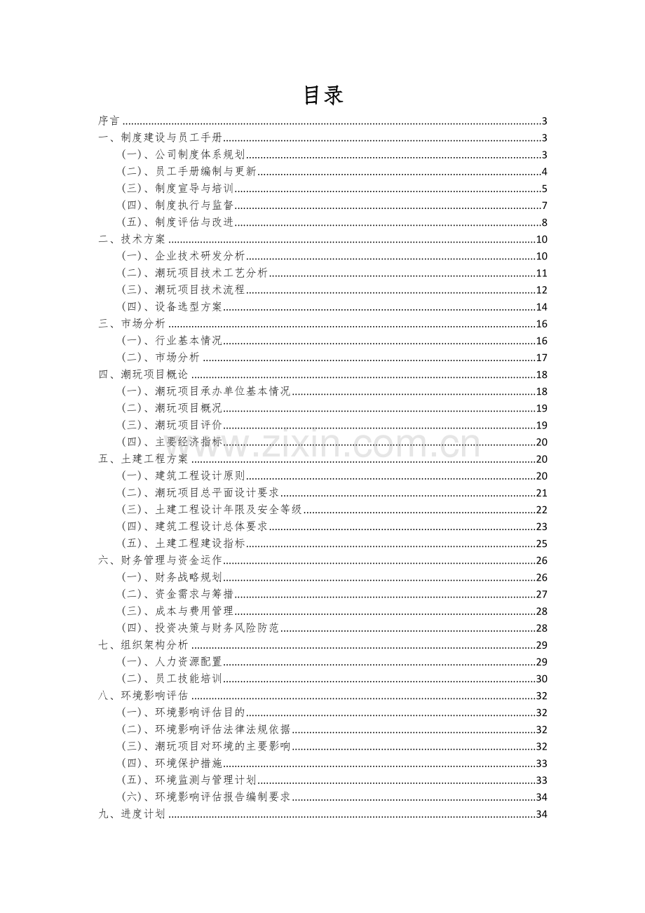 2025年潮玩项目深度研究分析报告.docx_第2页