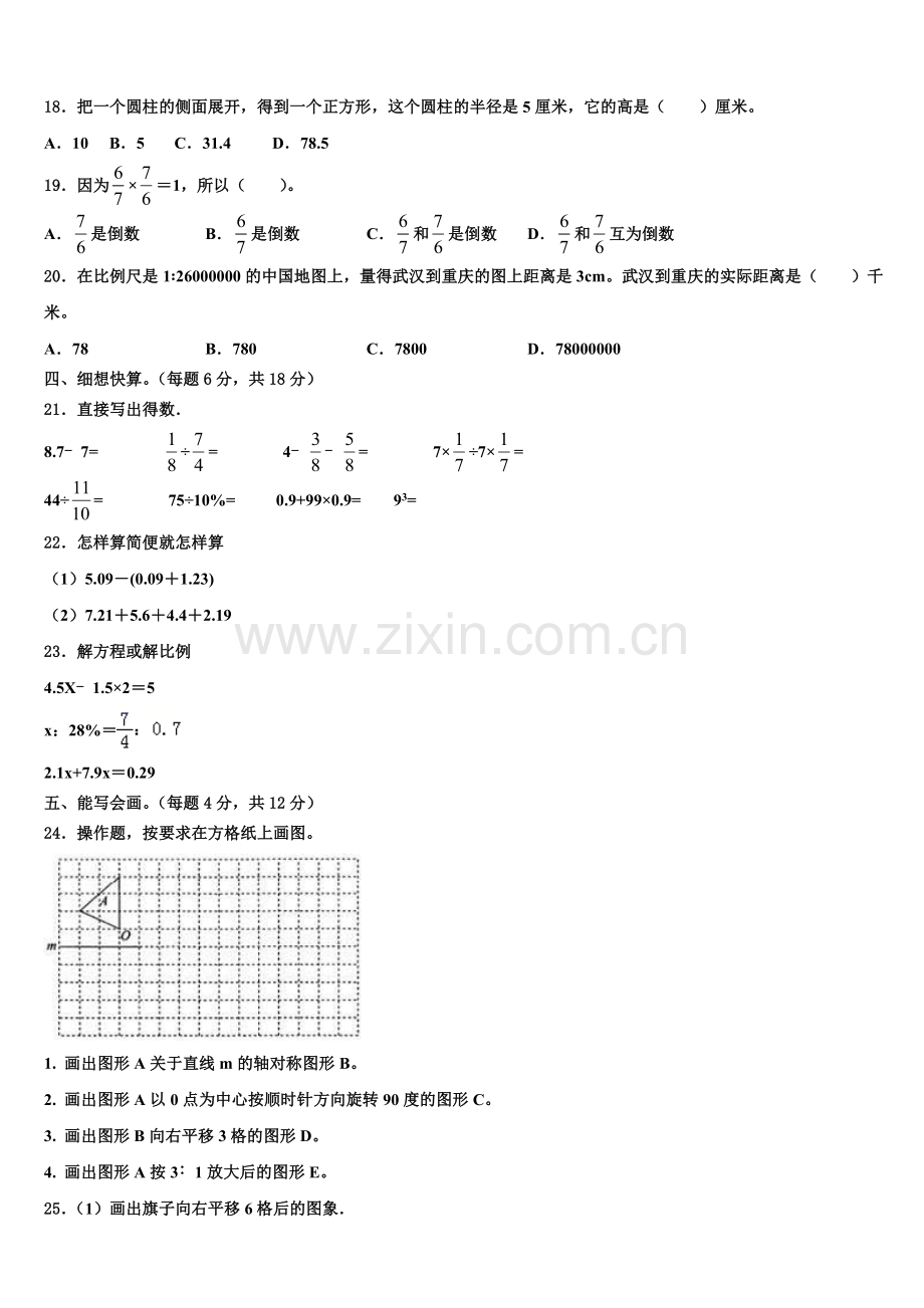 泰安市岱岳区2025年小升初数学预习模拟卷含解析.doc_第2页