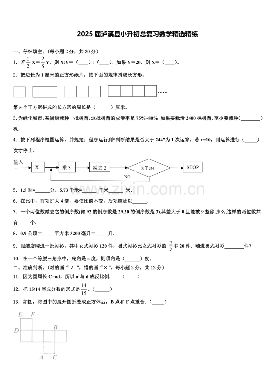 2025届泸溪县小升初总复习数学精练含解析.doc_第1页