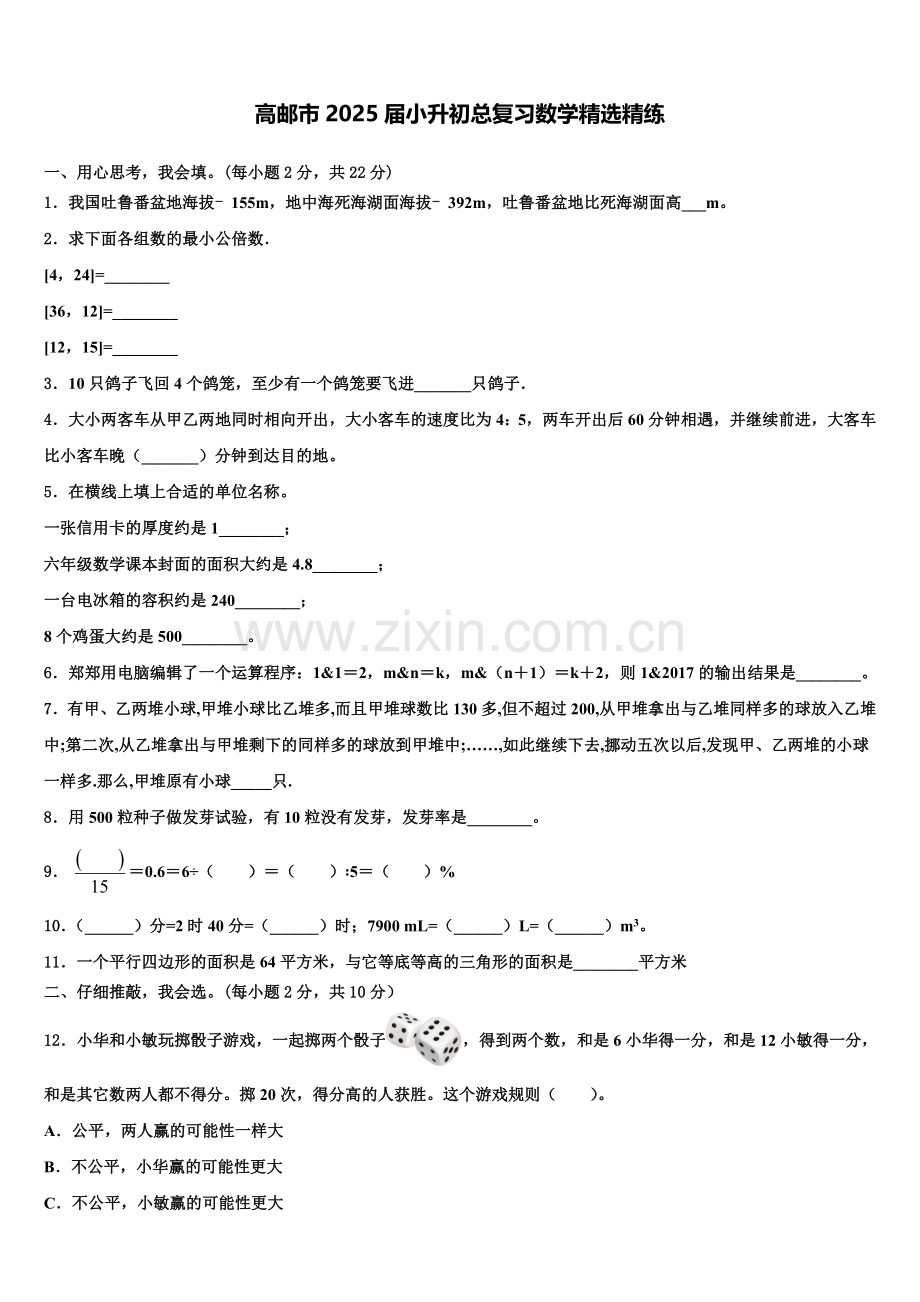 高邮市2025届小升初总复习数学精练含解析.doc_第1页