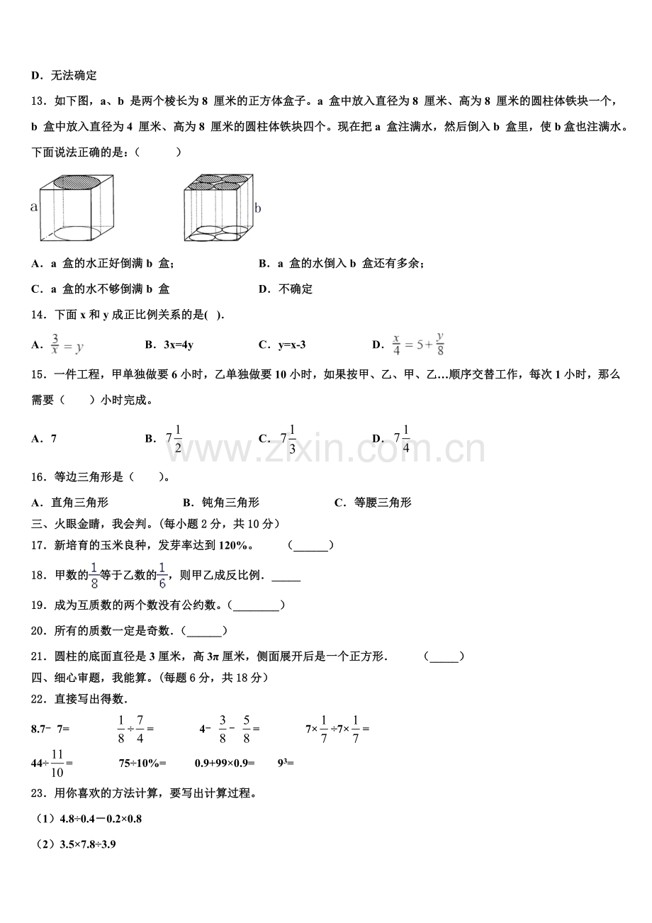 高邮市2025届小升初总复习数学精练含解析.doc_第2页