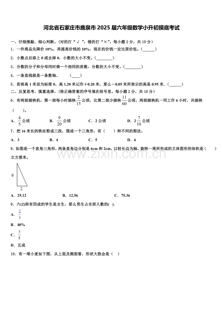 河北省石家庄市鹿泉市2025届六年级数学小升初摸底考试含解析.doc_第1页
