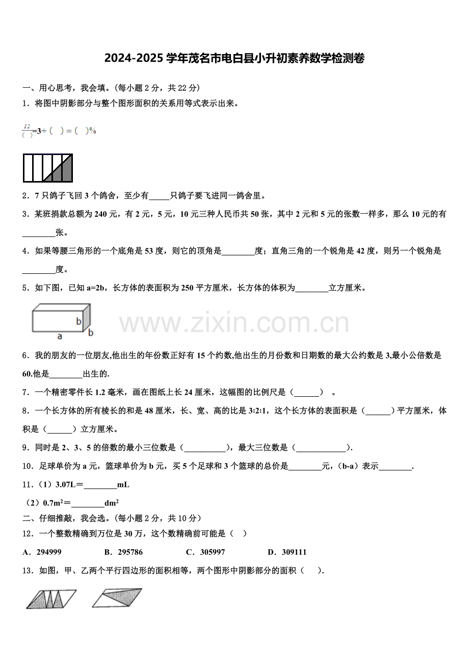 2024-2025学年茂名市电白县小升初素养数学检测卷含解析.doc_第1页