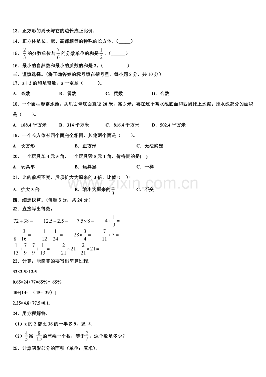 2025届平顶山市舞钢市小升初常考易错数学检测卷含解析.doc_第2页