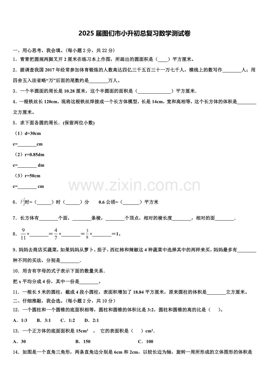 2025届图们市小升初总复习数学测试卷含解析.doc_第1页