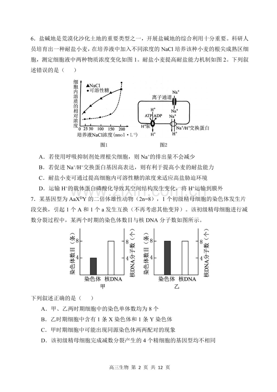 哈三中2024-2025学年度高三上学期期末考试-生物试题（含答案）.docx_第2页
