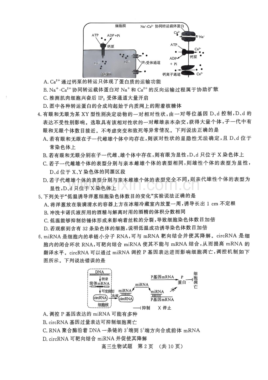 山东省2025年1月济南市高三上学期期末学习质量检测济南期末-生物试卷（含答案）.docx_第2页