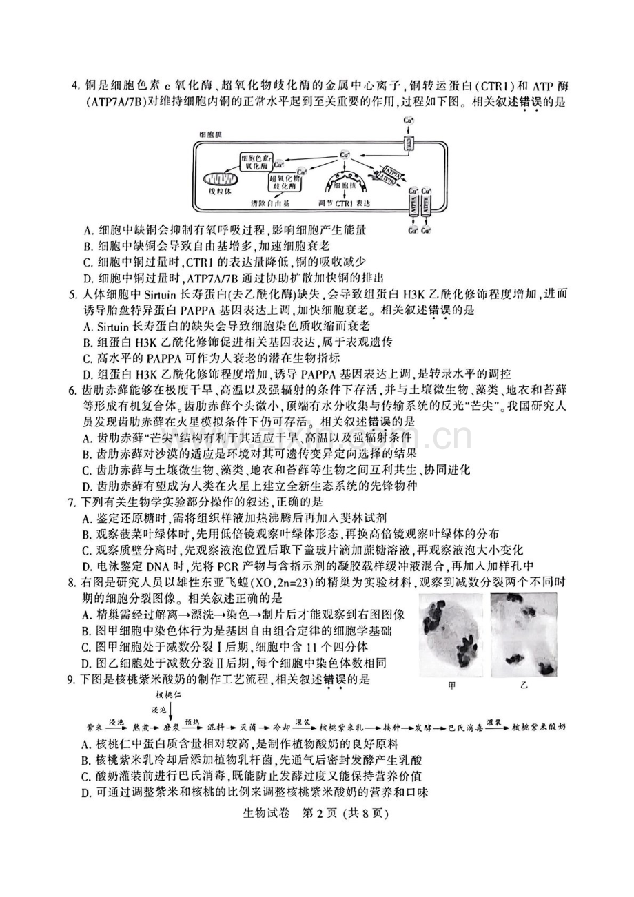 江苏省南通市泰州市镇江市盐城市2025届高三上学期第一次模拟-生物试卷（含答案）.docx_第2页
