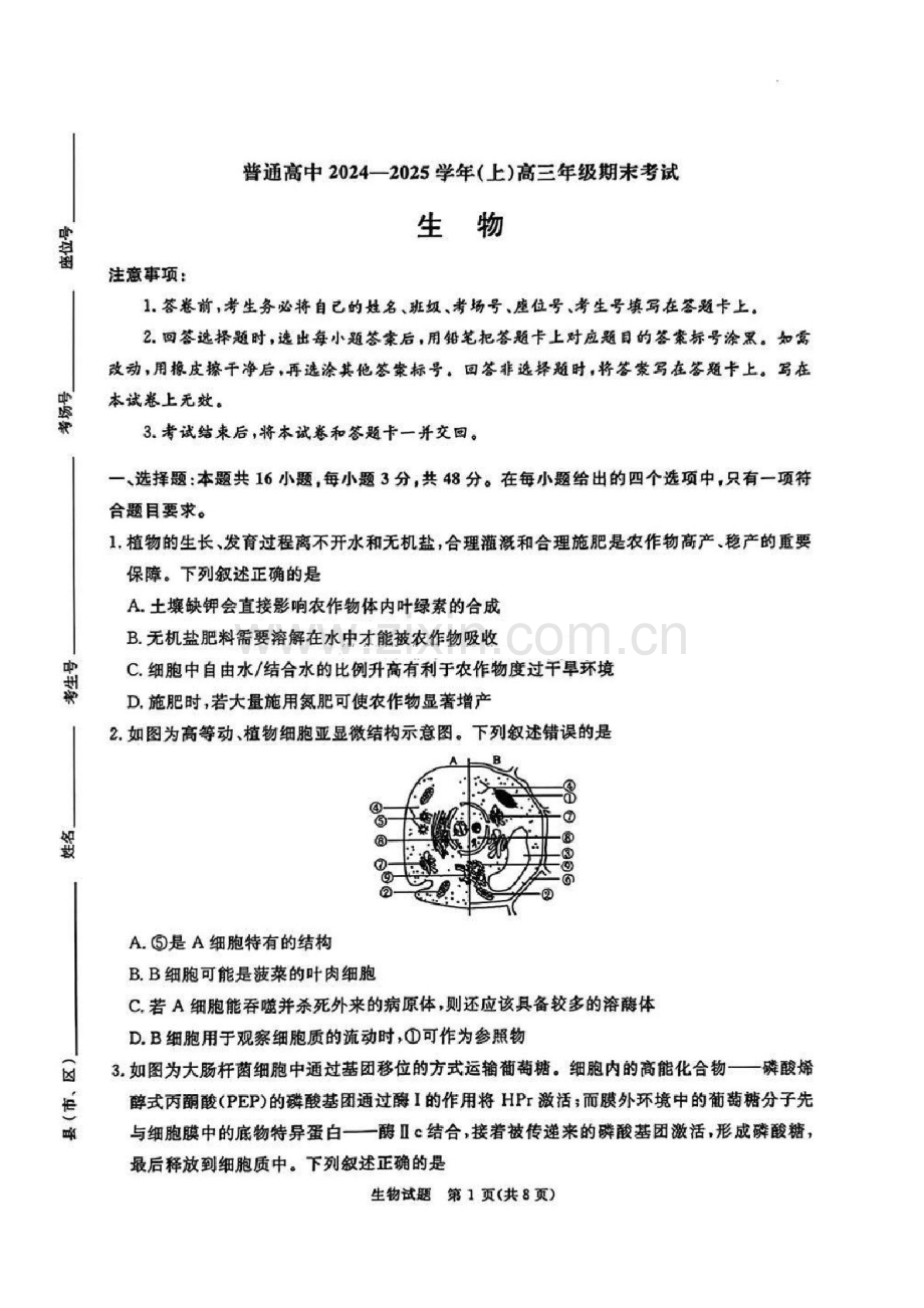 河南普通高中青桐鸣大联考2025届高三上学期1月期末考试-生物试题（含答案）.docx_第1页