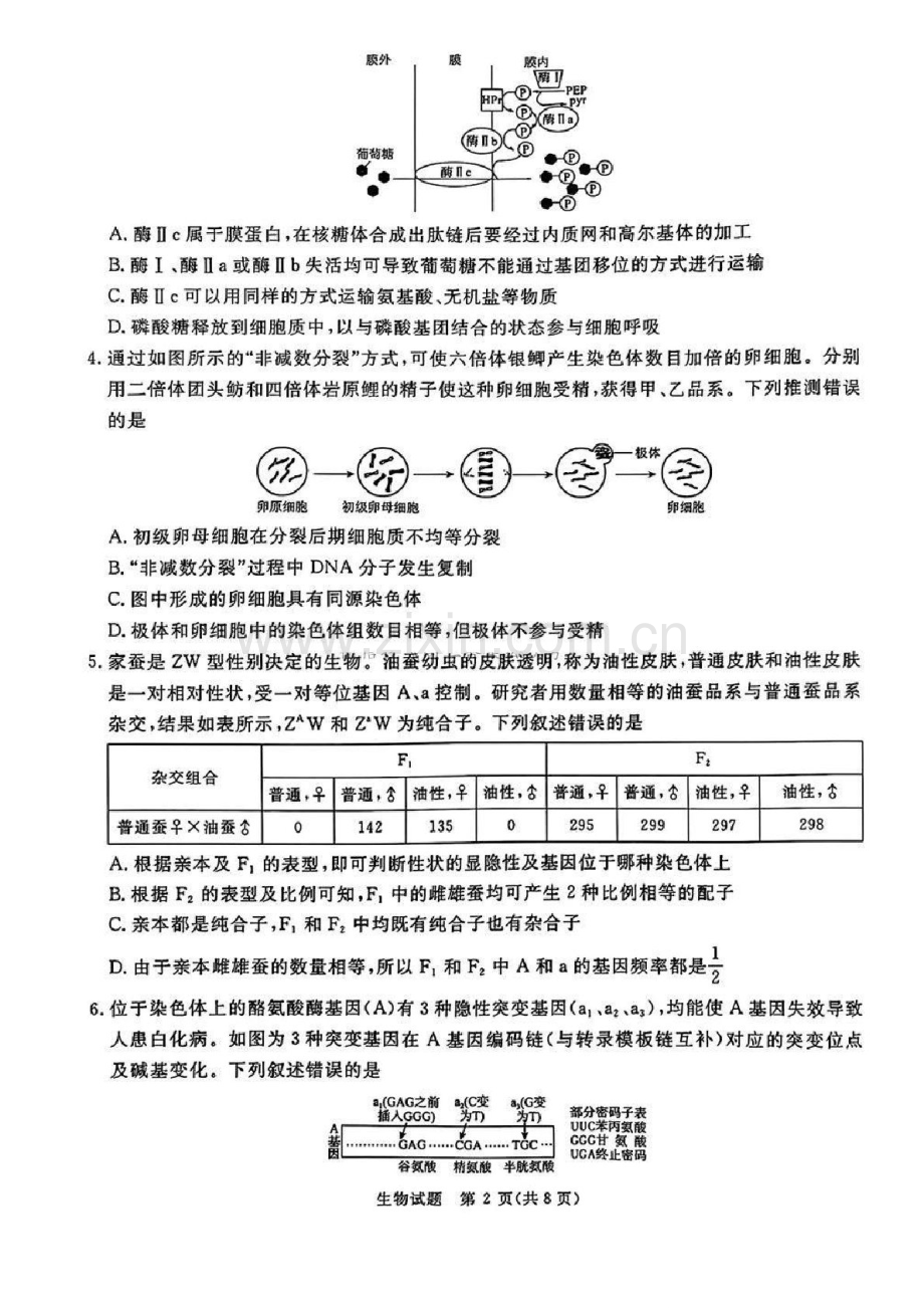 河南普通高中青桐鸣大联考2025届高三上学期1月期末考试-生物试题（含答案）.docx_第2页