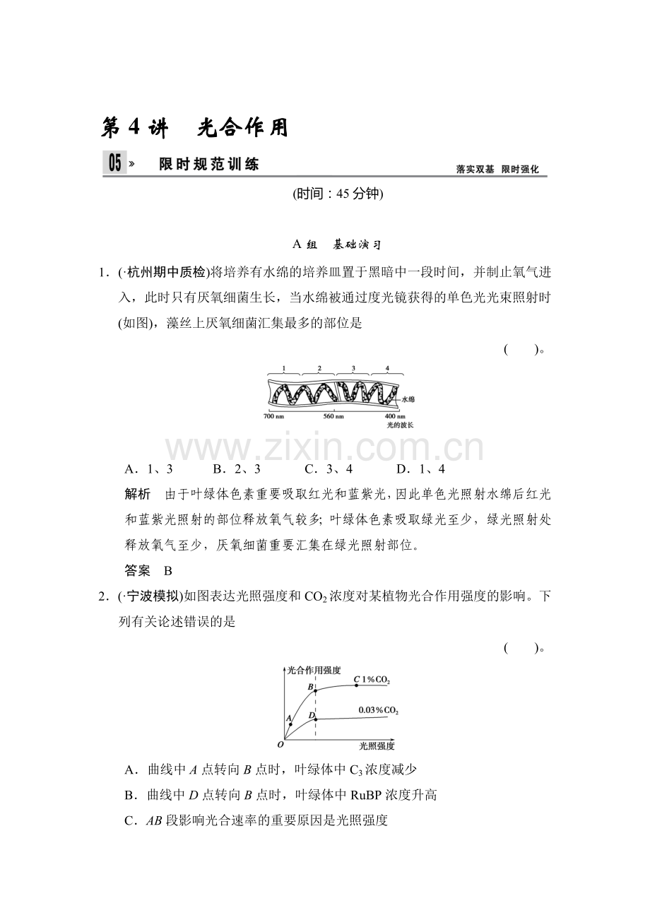 2025年高三生物知识点限时规范训练题.doc_第1页