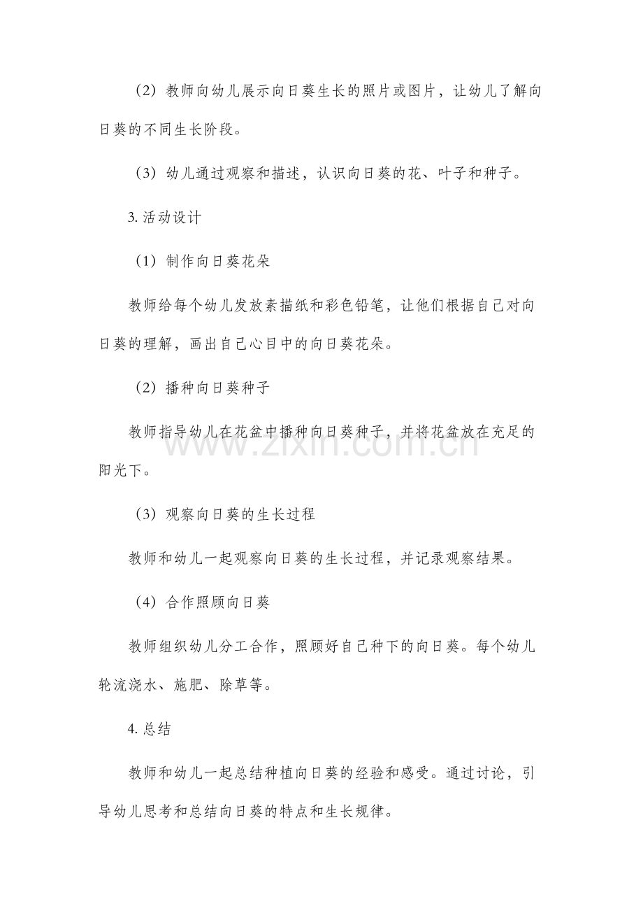 大班教案向日葵.docx_第2页