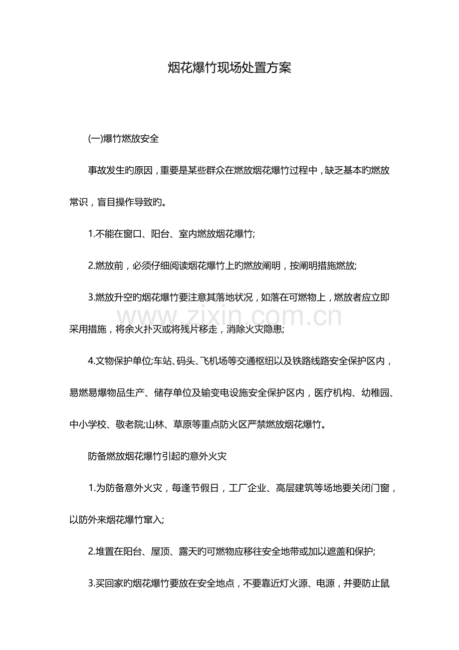 烟花爆竹现场处置方案.docx_第1页