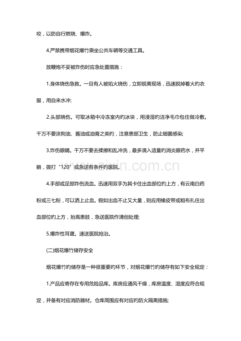 烟花爆竹现场处置方案.docx_第2页