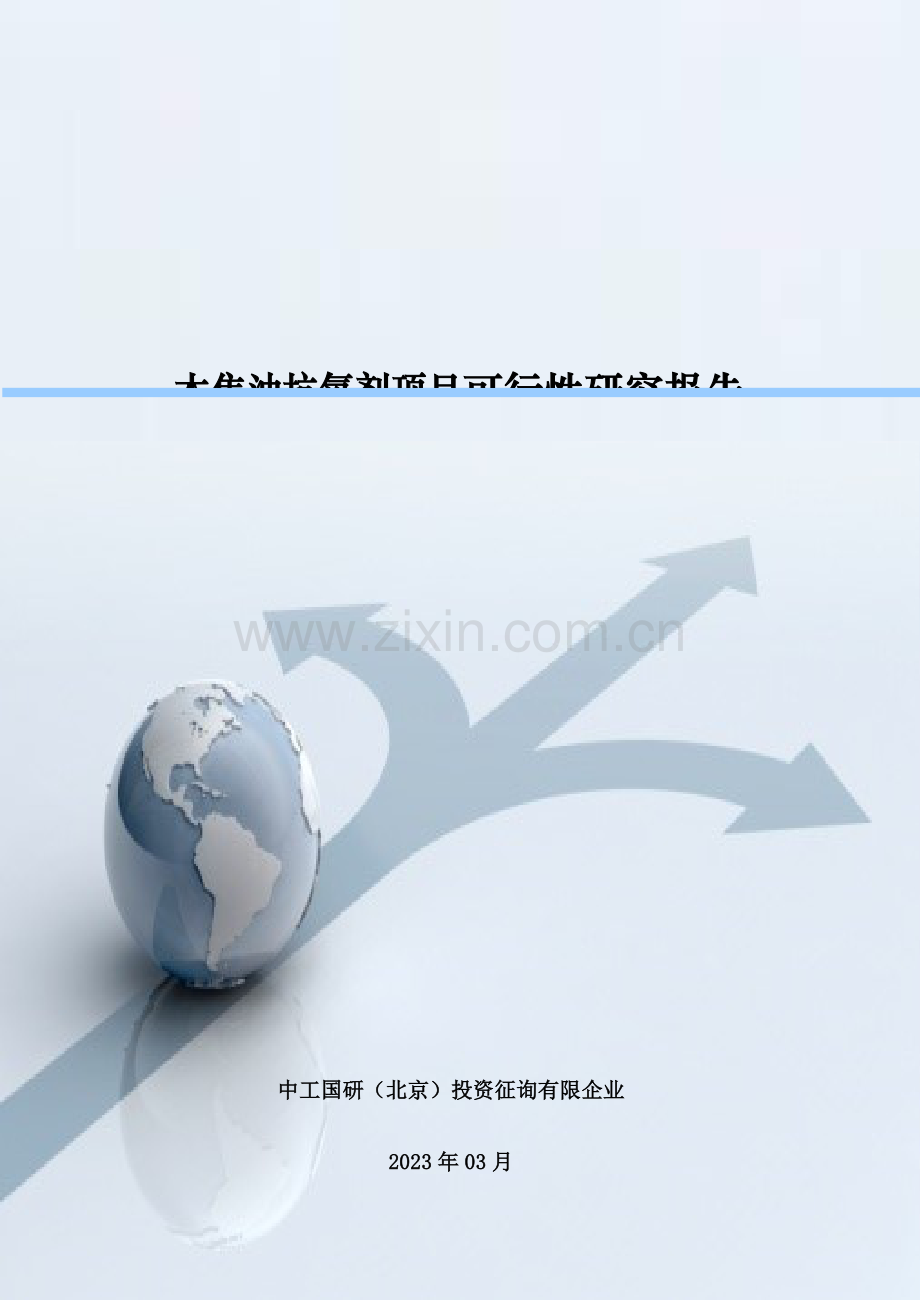 木焦油抗氧剂项目可行性研究报告.doc_第1页