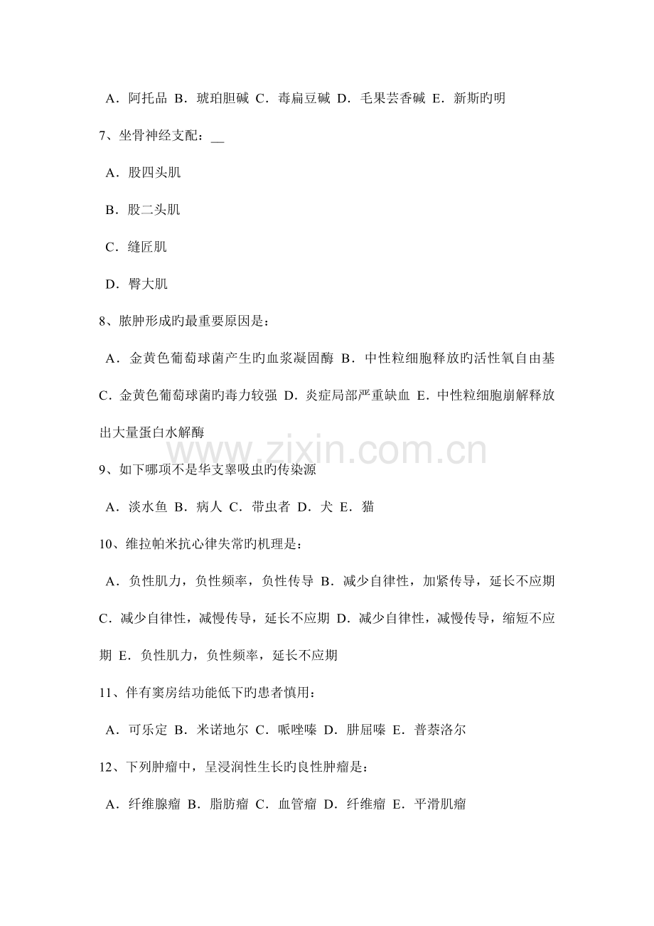 2023年河北省初级护师基础知识考试试题.docx_第2页