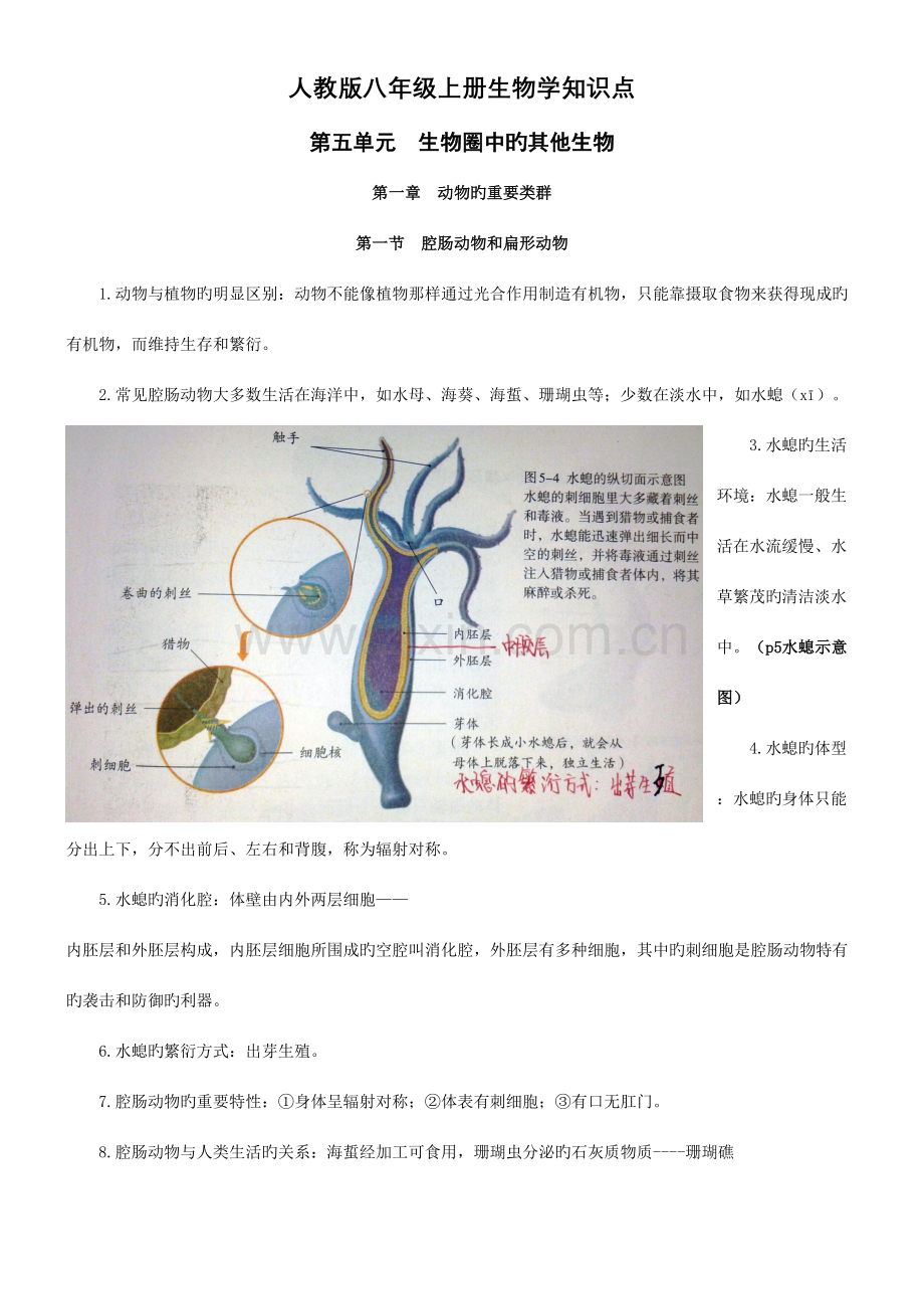 2023年人教版八年级上册生物学知识点.doc_第1页