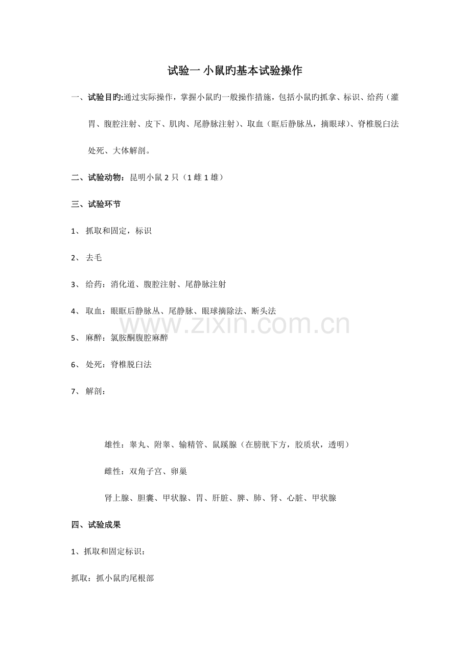 2023年实验动物学实验报告大鼠小鼠小鼠的基本实验操作大鼠的基本实验操作.docx_第1页