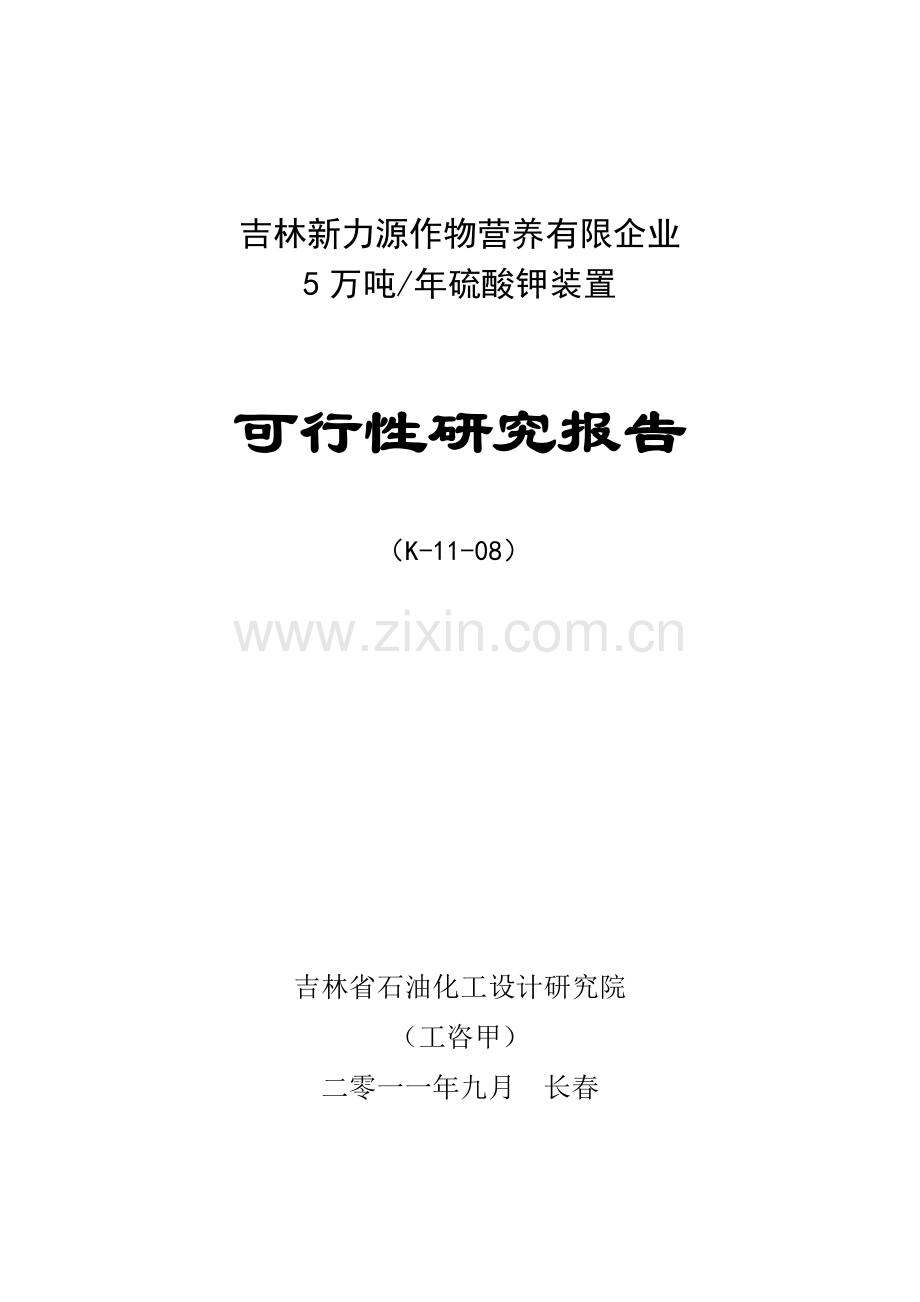 公司硫酸钾装置可行性研究报告.doc_第1页
