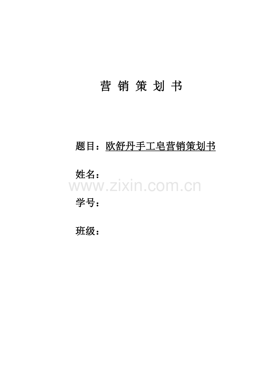 手工皂营销策划.doc_第1页