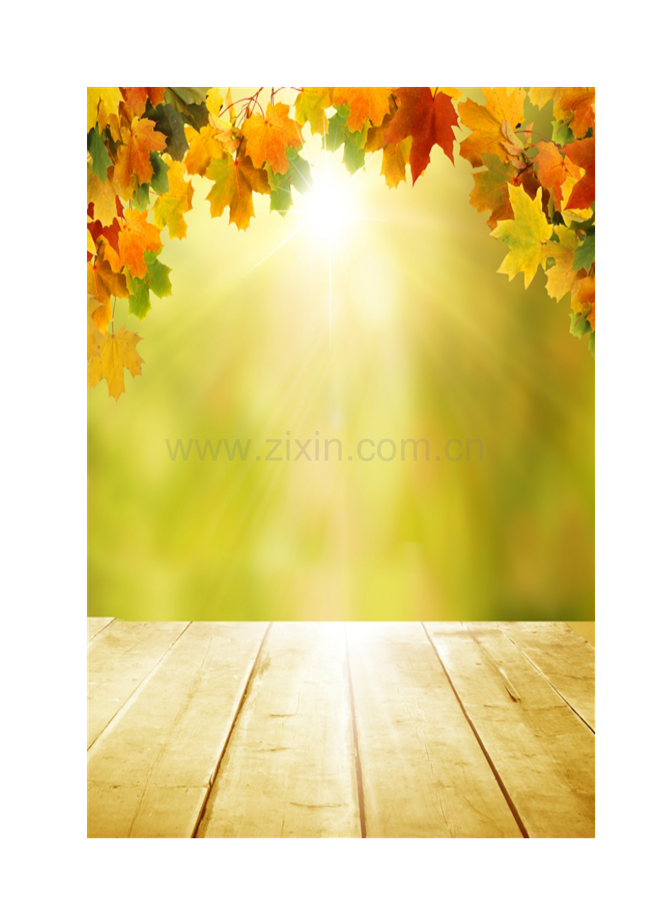 圆环的面积教学设计新.doc_第1页